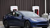 Tesla Reportedly Tells Owners to Stop Using Dog Mode