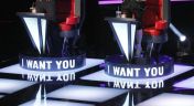7. The Best of the Blind Auditions