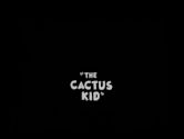 The Cactus Kid (1930 film)