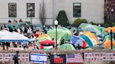 Pro-Palestinian protesters urge universities to divest from Israel. What does that mean?