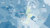 Comprehensive map shows how Texans voted in the 2024 Democratic Senate primary