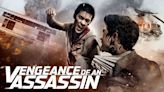 Vengeance of an Assassin (2014) Streaming: Watch & Stream Online via Amazon Prime Video
