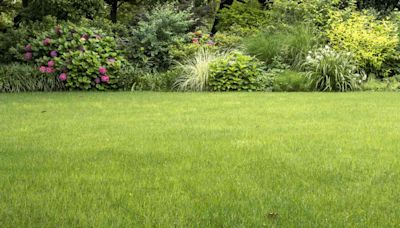 6 Reasons Your Lawn Is Turning Brown–and How to Fix It