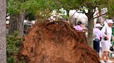 Masters 2023: Trees fall into gallery at Augusta National; no injuries reported