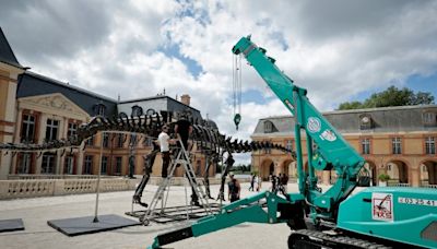 Se subastará en Francia el fósil del dinosaurio más grande jamás puesto a la venta