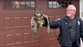 Westlake animal control officer saves owl