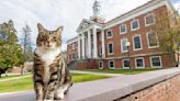 College awards popular campus cat with honorary "doctor of litter-ature" degree