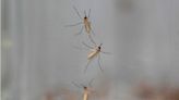 West Nile fever death toll reaches 15 in Israel