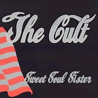 Sweet Soul Sister (Single Version) [Deluxe Sleeve]