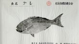 ¿Qué hace un pescado impreso en ese papel?