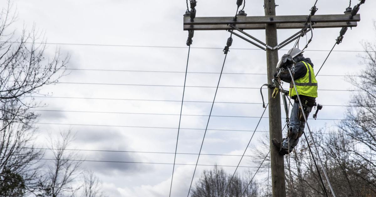 Firefly Broadband to hunters: Don't fire at birds sitting on power lines