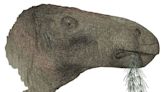 UK’s most complete dinosaur fossil in a century reveals new species