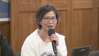 甫開議黃珊珊執意代柯赴美 蔡壁如困惑：她出國、代表誰去？