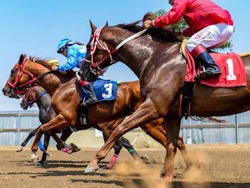 Preakness Stakes 2024: Cheat Sheet for racing form, past performances, post positions, odds after Muth scratch