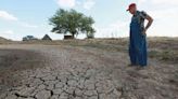 Alertan que La Niña llegaría a Latinoamérica con eventos climáticos extremos