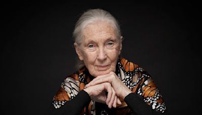 Conservationist Jane Goodall On Her Hopes For ‘Howl’, The Live-Action Movie She Is Exec-Producing With Leonardo...