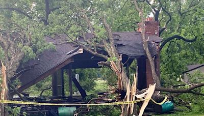 Toddler killed and mother injured as tornado sends tree crashing into their home in Detroit