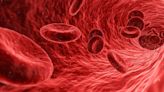 How gut enzymes could make universal donor blood possible