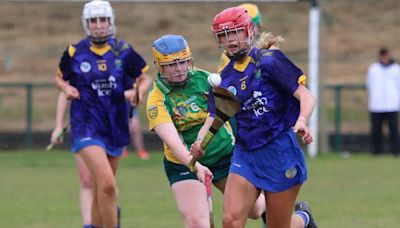 Sadhbh Hartley hat-trick helps Wicklow to U16 All-Ireland camogie final