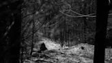 100 Miles in the Tennessee Wilderness in Under 60 hours: What It's Like to Race the Grueling Barkley Marathons