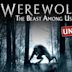 Werewolf: The Beast Among Us