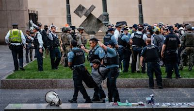 Dozens Are Arrested in Pro-Palestinian Protest at Art Institute of Chicago