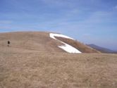 Max Patch