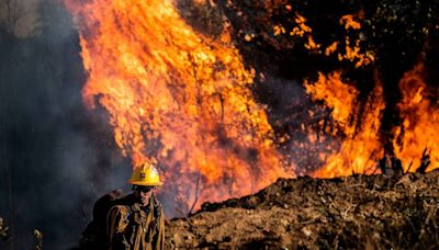 Cal Fire’s new website, approach to data sends crews out faster, shares critical info in real time