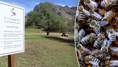 Arizona golf course groundskeeper dies after being attacked by bees