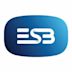 ESB Group