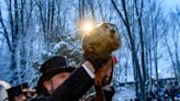 Punxsutawney Phil Shocks Caretakers by Welcoming 2 Surprise Baby Groundhogs with His Wife Phyllis