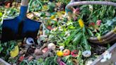 How to Make Your Own Compost