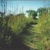 Tallgrass Prairie National Preserve