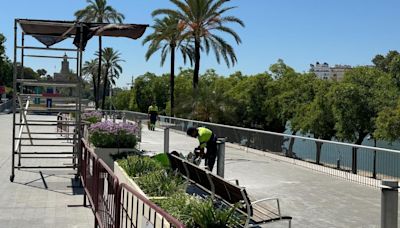 La sombra llegará diez años después al Paseo Marqués de Contadero