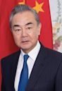 Wang Yi (politician)