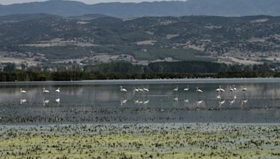 Dans le nord de la Grèce, la puanteur et l'inquiétude autour des lacs asséchés