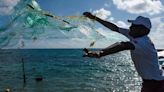 La FAO busca revertir sobreexplotación pesquera y degradación marina en Quintana Roo
