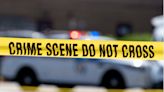 Niño de 7 años fue alcanzado por una bala perdida en Chicago: joven de 16, acusado de asesinato - El Diario NY