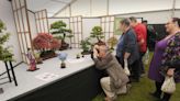 Ayr Flower Show bosses warn of 'fake' website hitting crowds