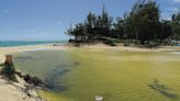 Health department warns of bacteria exceedance at Kailua Bay