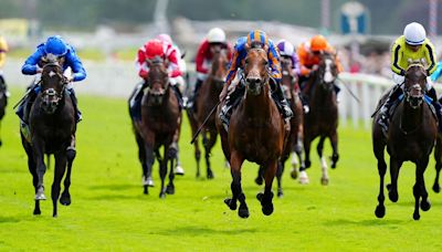 Wimbledon Hawkeye has the Royal Lodge in his sights at Newmarket