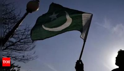 Pakistan rights body voices concern over increasing 'political polarisation' - Times of India