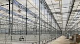 North Dakota tribe goes back to its roots with a massive greenhouse operation