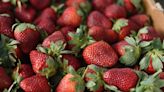 Strawberries add flavor, color to big, fresh salad | Northwest Arkansas Democrat-Gazette