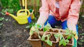 Millennials and Gen Z return to their roots with homesteading