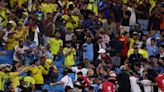 Liverpool's Darwin Nunez in huge brawl with fans as punches thrown at Copa America