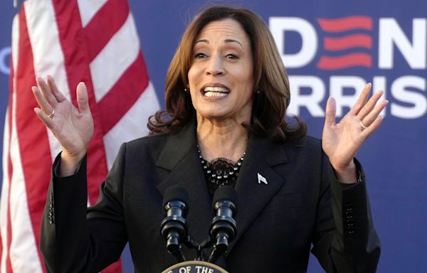 Kamala Harris suggests Supreme Court threatens 'fundamental freedoms,' but doesn't want to be 'alarmist'