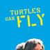 Turtles Can Fly