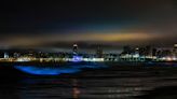 Noctilucas: la increíble iluminación azul que en las noches logró el agua en las playas de Mar del Plata