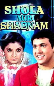 Shola Aur Shabnam (1992 film)